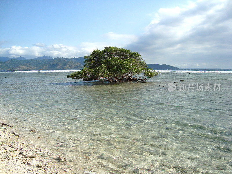 Gili Trawangan，印度尼西亚